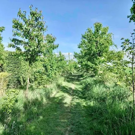 Le Domaine Reserve , Parking Et Ecrin De Verdure Amiens Exterior photo