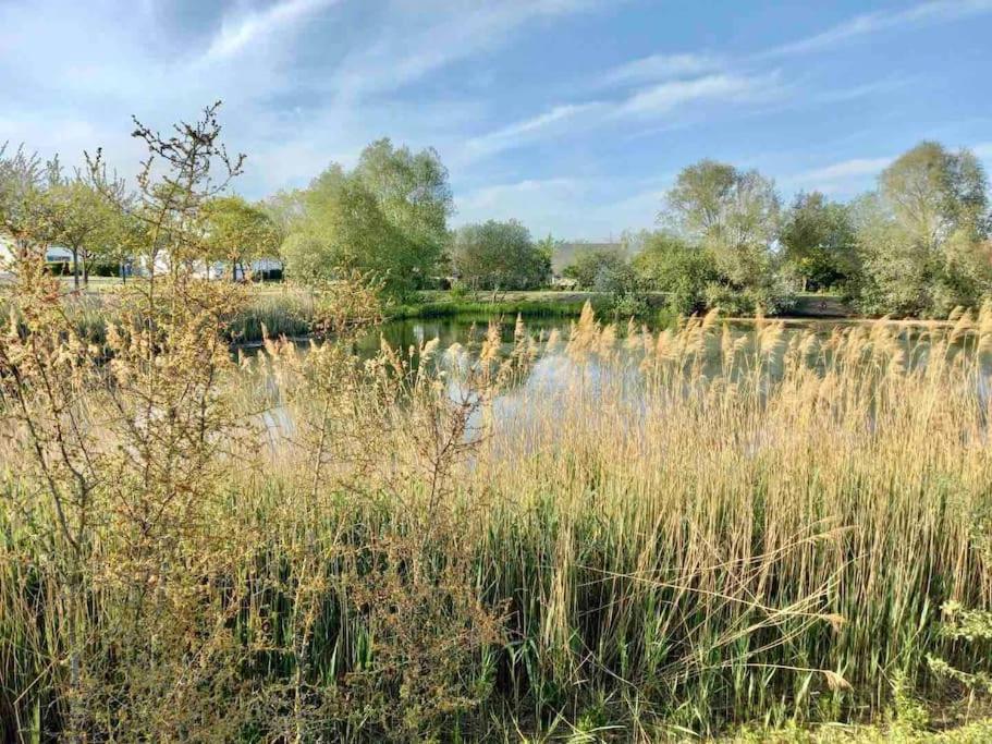 Apartment Le Domaine Reserve , Parking Et Ecrin De Verdure Amiens