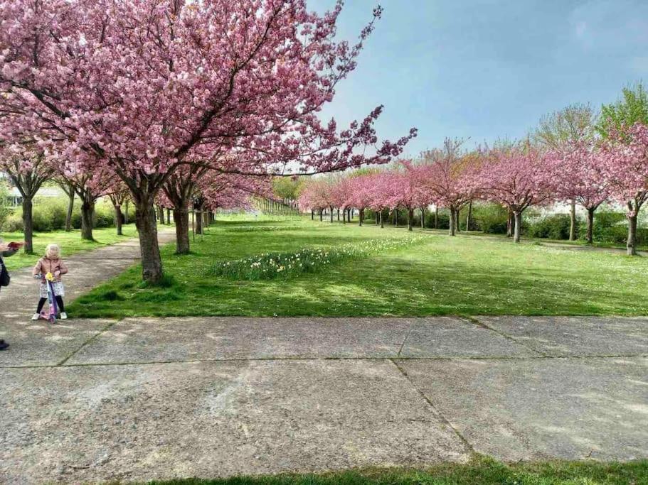 Le Domaine Reserve , Parking Et Ecrin De Verdure Apartment Amiens