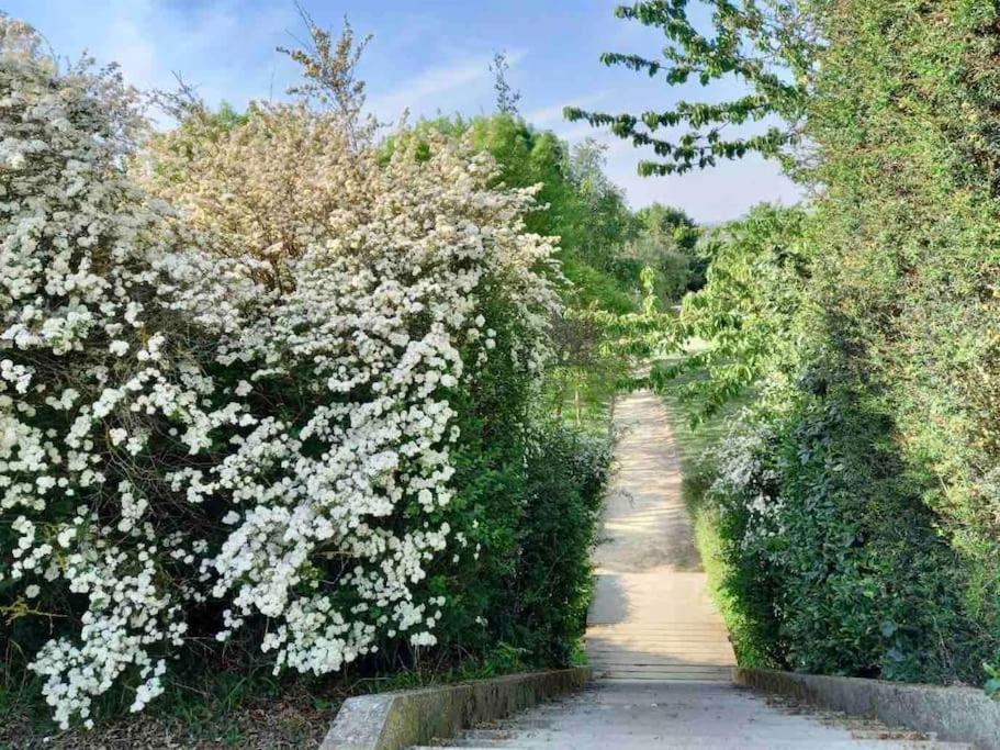 Le Domaine Reserve , Parking Et Ecrin De Verdure Apartment *